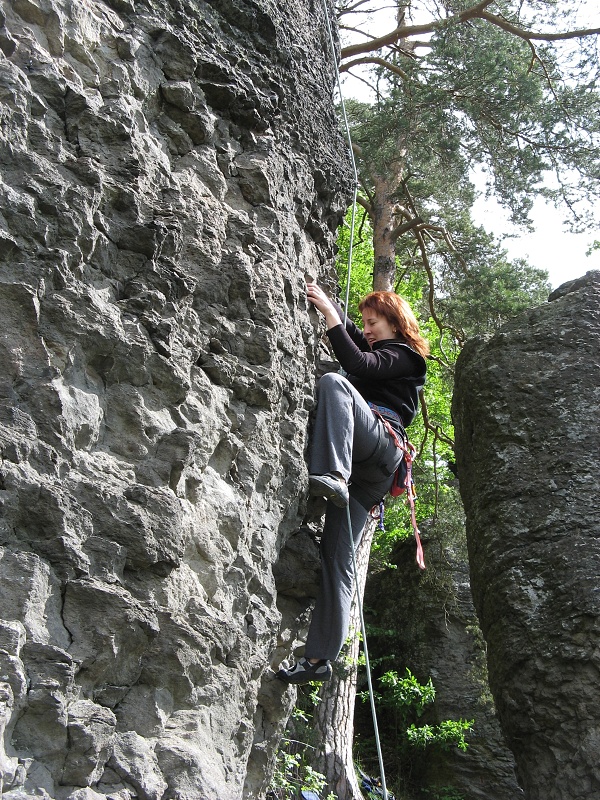 12h 2009